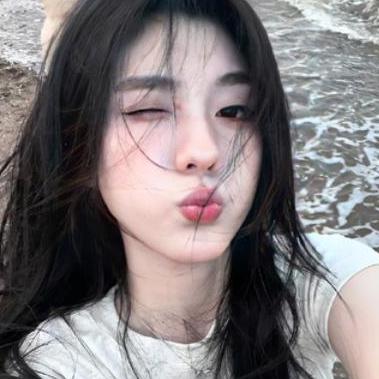 pawtechpet pawtechpet